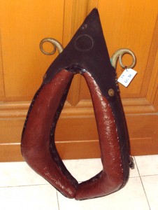 N°54: