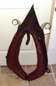 N°21: