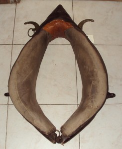 ST N°2: 50/23