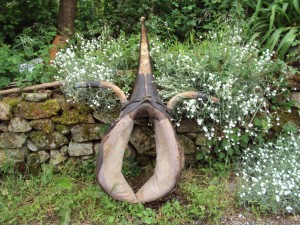 Envergure :90cm