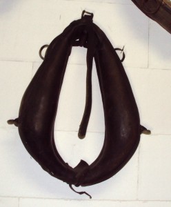 N° 35: