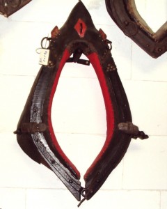 N° 71: 51/24: 70€