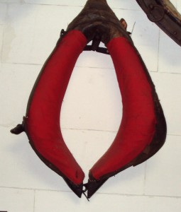 N° 71