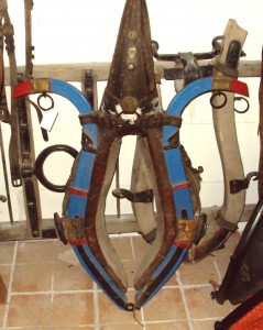 N°57: 49/17: 125€