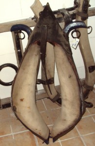 N°50