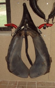 sarazin