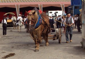 St Girons 2013.