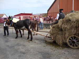 St Girons 2013