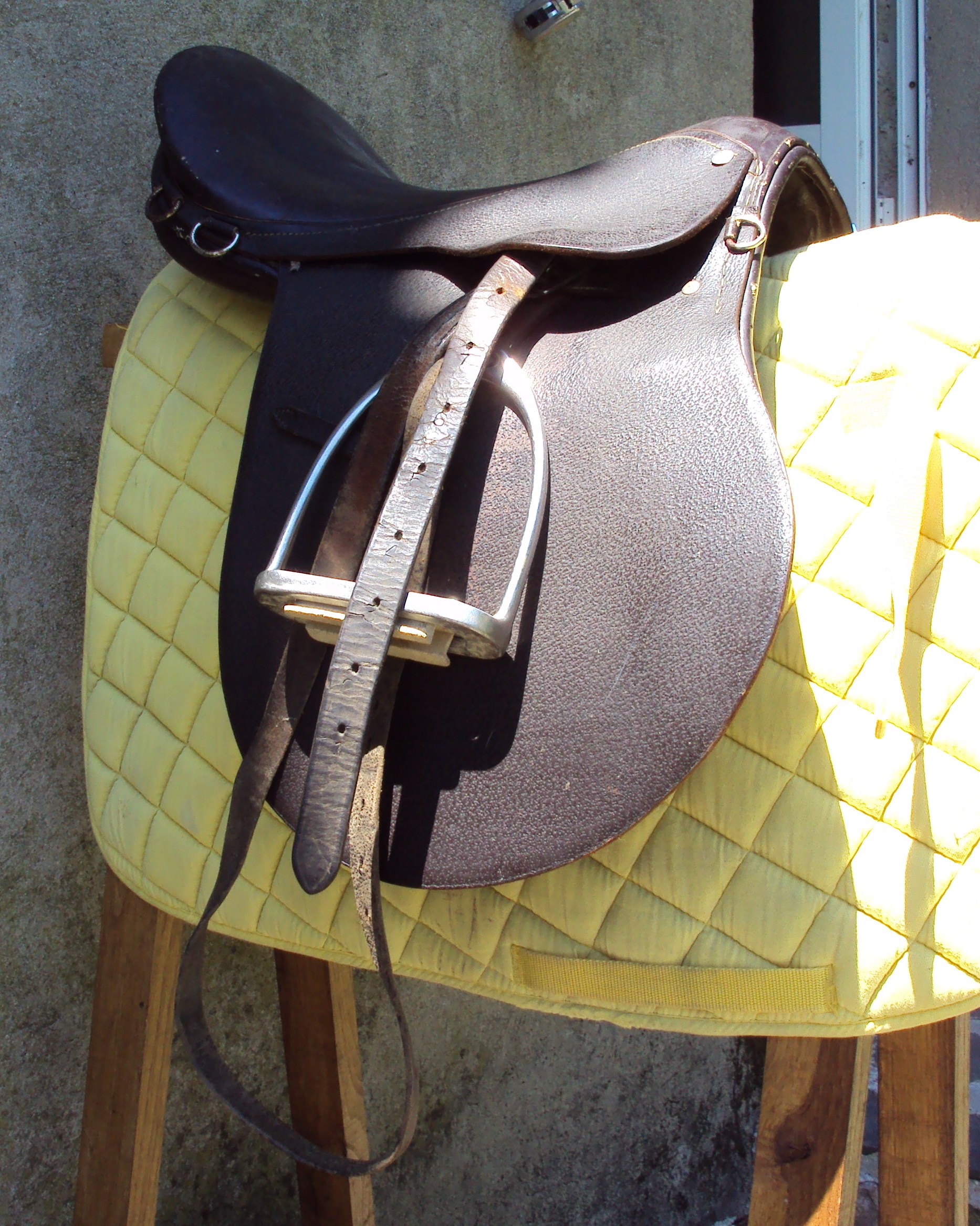 Selle Norton Club Cheval De Trait